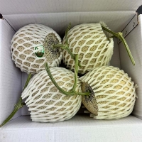 고당도 선별 머스크 메론 1.5kg