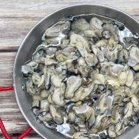 통영 제철 굴 햇굴 생굴 1kg