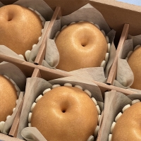 [선물세트] 명품 성환배 선물세트