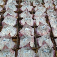 [주말특가] 오리지날 흑산도 홍어 국내산 홍어 암치 250g 500g 1kg 숙성도 택 1