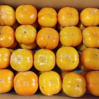 [뜰안애] 보석 단감 5kg(20-30과내)