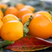 [보름데이]  달콤한  고당도  대봉감  (3kg/5kg/10kg)