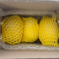 [오커최고] 설향 메론  신품종 멜론 1.5kg 3kg