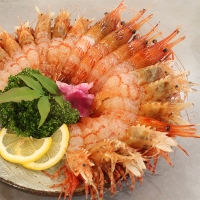 [보름데이] 동해안  독도새우(푸)