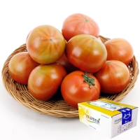 [과일예찬] 꼼꼼한 완숙토마토 2.5kg(1-2번과)