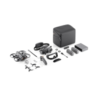 DJI AVATA 2 플라이모어 콤보 (배터리3개)