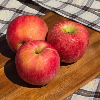 [부사] 아삭 꿀가득 사과 못난이 1KG (랜덤과)