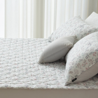 레노마홈 코지네스트 데이나 극세사 차렵이불 모달&극세 양면 백화점 인기 상품