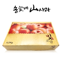 [송가네산사과] 실속 못난이 사과 4.5kg (중소과 19~25과내/대과 13~18과내)