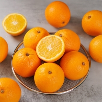 퓨어스펙  블랙라벨  오렌지(푸)