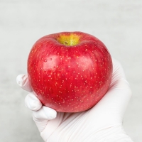 [신한카드 할인] [백억] 아삭아삭 달콤달콤 명품 부사 사과