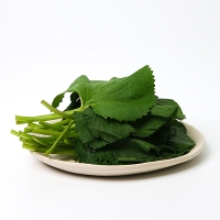 제철  햇  곰취나물(푸)