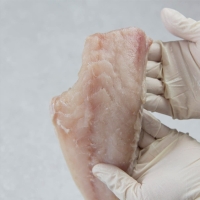 [제주특선] 순살 백옥돔(옥두어) 500g이상/400g이상/300g이상(팩당2쪽) 1팩/2팩/3팩