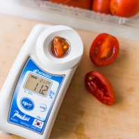 [오아최고] 스테비아 방울 토마토 500g 1팩 2팩 3팩 4팩