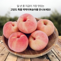 [첫출하] 국내산 영천_햇 딱딱이 복숭아 [2kg-4kg]