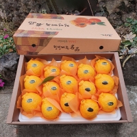  [★특별할인]새콤달콤 감귤 제주 꿀 한라봉 프리미엄 고당도 선물세트 3kg 5kg