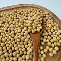  [보름데이] [강화섬 백태콩]국내산  백태콩  (200g/500g/1kg/3kg/4kg)