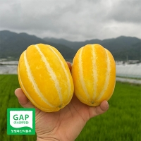 고당도 성주 꿀참외(푸)