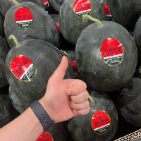 고당도 국내산 흑수박