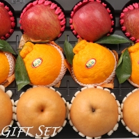 [1/19일부터 순차출고] [농협] 한아름드린 프리미엄 과일혼합세트 5.5kg(사과4과/배4과/한라봉4과)