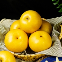 [명절브팜] 한상 나주배 선물세트 7.5kg