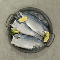 [제주특선] 순살 고등어 500g이상(4-5쪽) 1팩/2팩