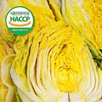 [예약배송] [강원도 고랭지_HACCP] 4차세척/속이꽉찬 절임배추 10kg(4-5포기)