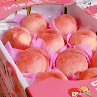 [농협공판장] 정성드린 단단 깐깐한 복숭아 4kg(13-14과내)