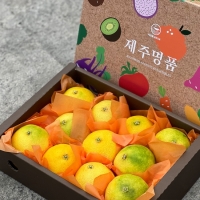 [명절브팜] 제주 황금향 2kg 3kg 5kg 선물세트