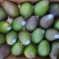 [만원의 행복] 검붉은 껍질속 뽀얀 속살의 아보카도(푸)