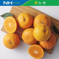 [제주감귤농협] 카라향 [1.8kg-4kg]