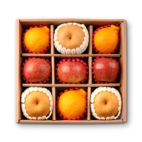 [선물세트] 프리미엄 실속혼합 과일 선물세트