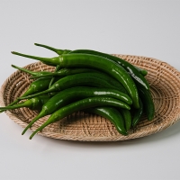 (최켓)청양고추 500g~5kg