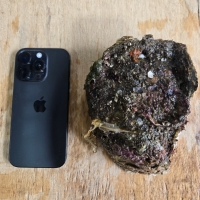 [水] 자연산 손질 바위굴 벚굴 2kg 3kg 