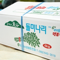 동곡  돌미나리(푸)