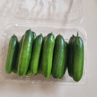  [주말특가] 수분이 가득한 미니오이