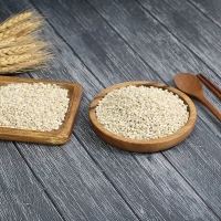 (25년산) 홍성농부의 늘보리 1kg 직접도정