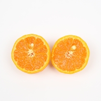 [오커최고] 시원 찐한 카라향 제주 카라향