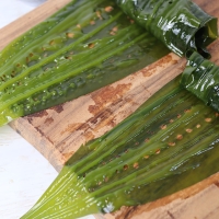 [오커브팜] 구멍 슝 곰피 미역 1kg 2kg 3kg