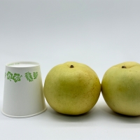 달콤한 과즙이 가득 그린시스배