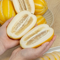 [과일] 과즙팡팡 수분가득 특품용 성주참외  1kg/2kg/3kg/5kg