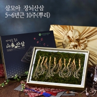 [명절특선] [삼모아] 산양산삼 5-6년근 5/7/10뿌리(보은세트) /우드락+공단보자기