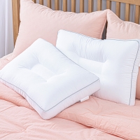 [VAZZ]바즈 고밀도 마이크로화이바R2 입체경추베개솜(중)1P(40x60)