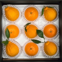 저탄소 프리미엄  혼합과일  선물세트(푸)