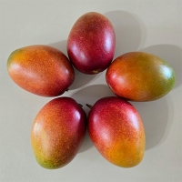 프리미엄 애플망고(푸)