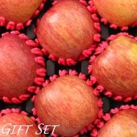 [2/3일부터 순차출고] [농협공판장] 정성드린 프리미엄 장수사과세트 5kg(특 19과내16과내/13과내)