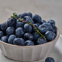 [오커최고] 국내산 블루베리 생과 블루베리 18~20mm