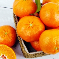 [농협] 한아름드린 레드향세트 3kg(특12과내)  1박스/2박스