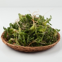 남해 세척냉이(푸)