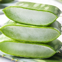 자연이 키운 건강한 한잎  - 알로에  -  1kg,3kg,5kg  [고]